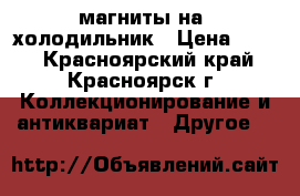 магниты на  холодильник › Цена ­ 300 - Красноярский край, Красноярск г. Коллекционирование и антиквариат » Другое   